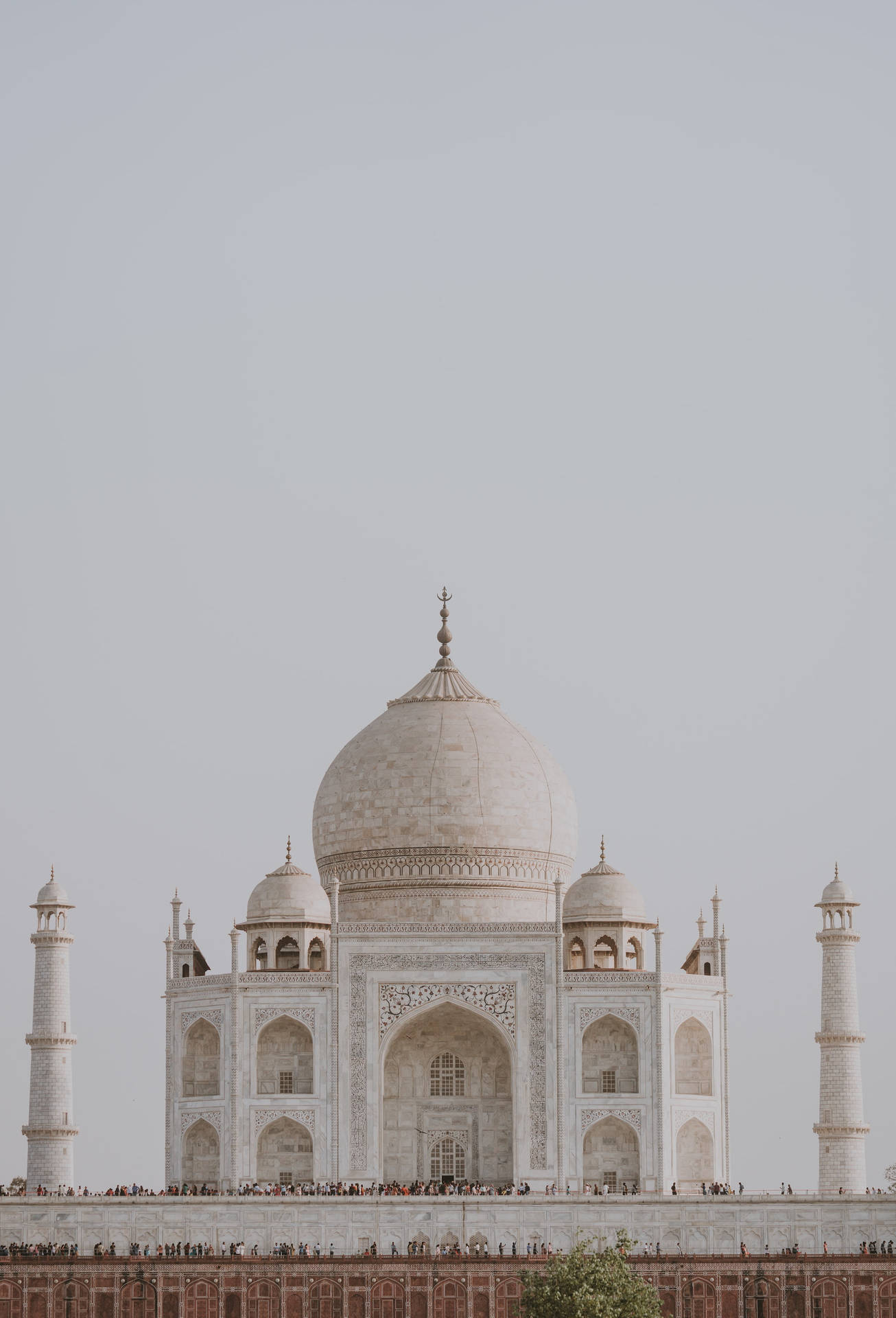 The Taj Mahal Frontal View Background