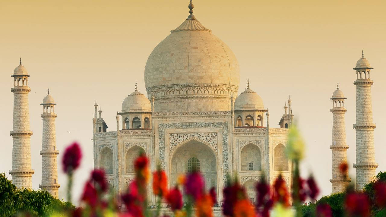 The Taj Mahal Garden. Background