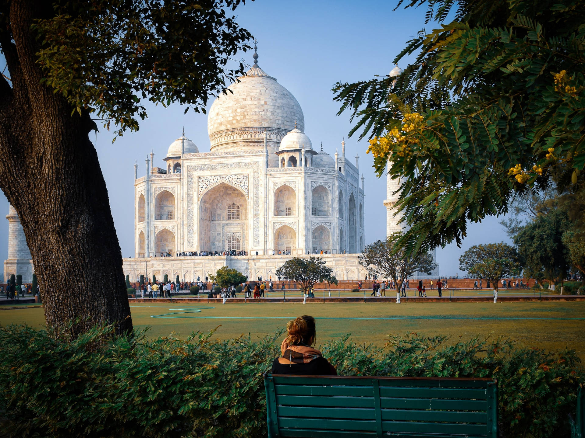 The Taj Mahal's Green Plains Background