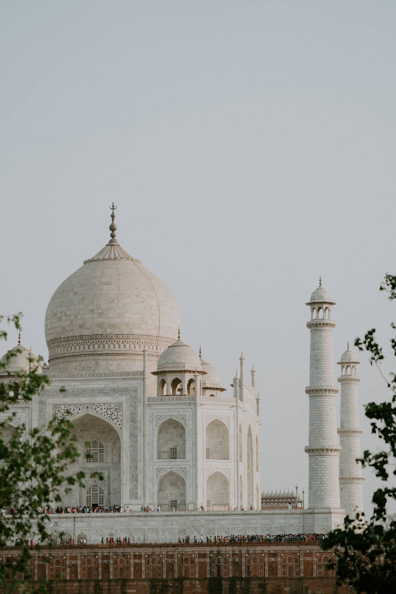 The Taj Mahal's Kiosk Background