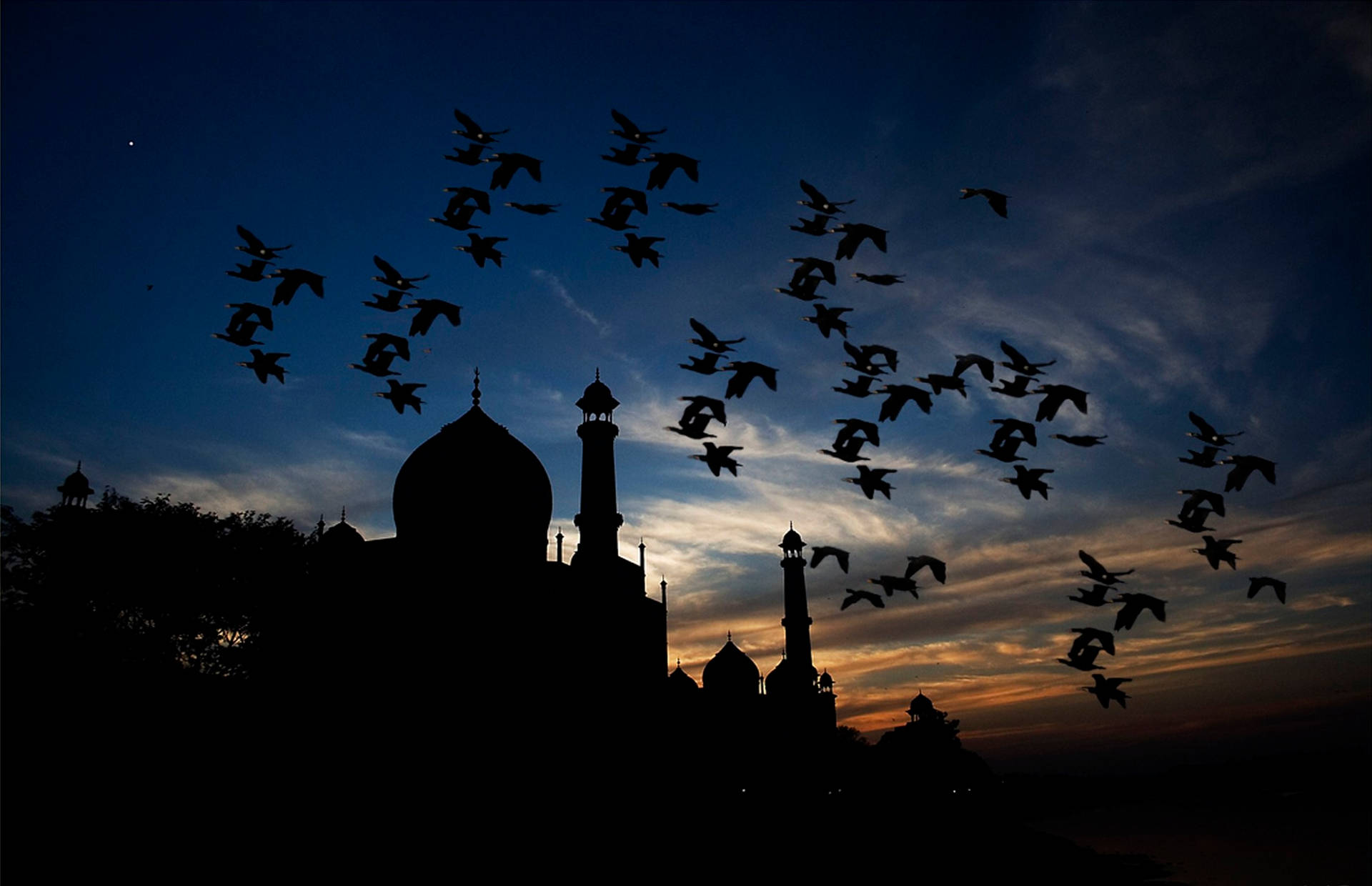 The Taj Mahal Shadow Background