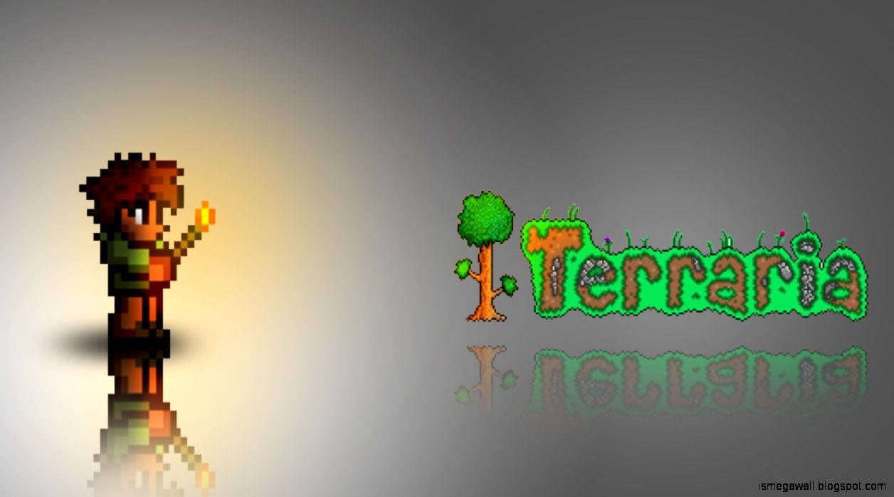 The Terraria Guy Torch Background