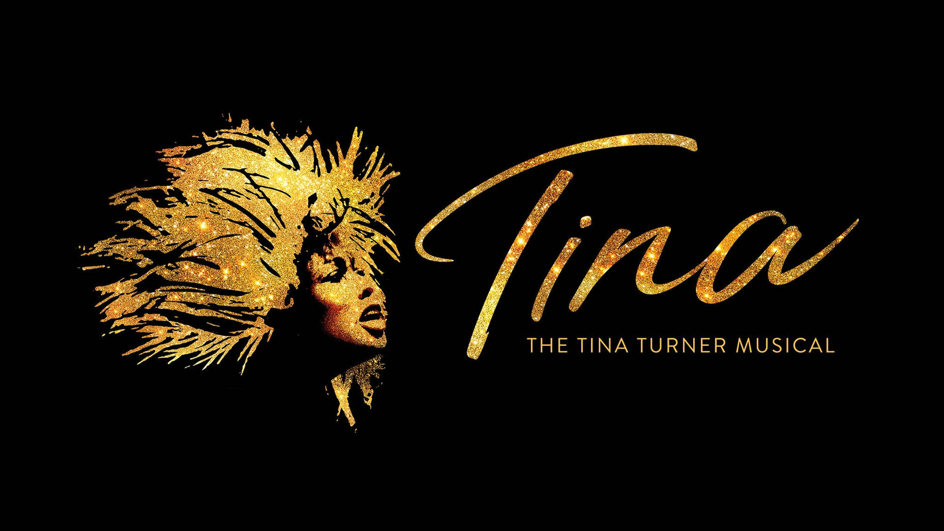 The Tina Turner Broadway Musical Background