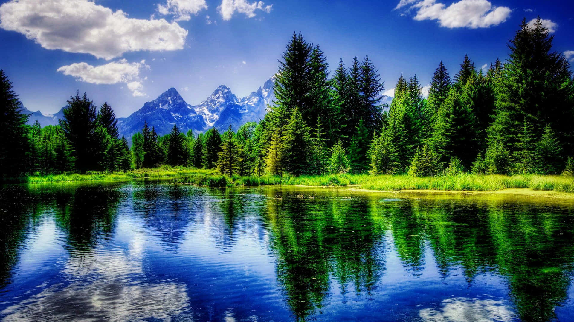 The Todd Lake With Pine Trees Landscape Background