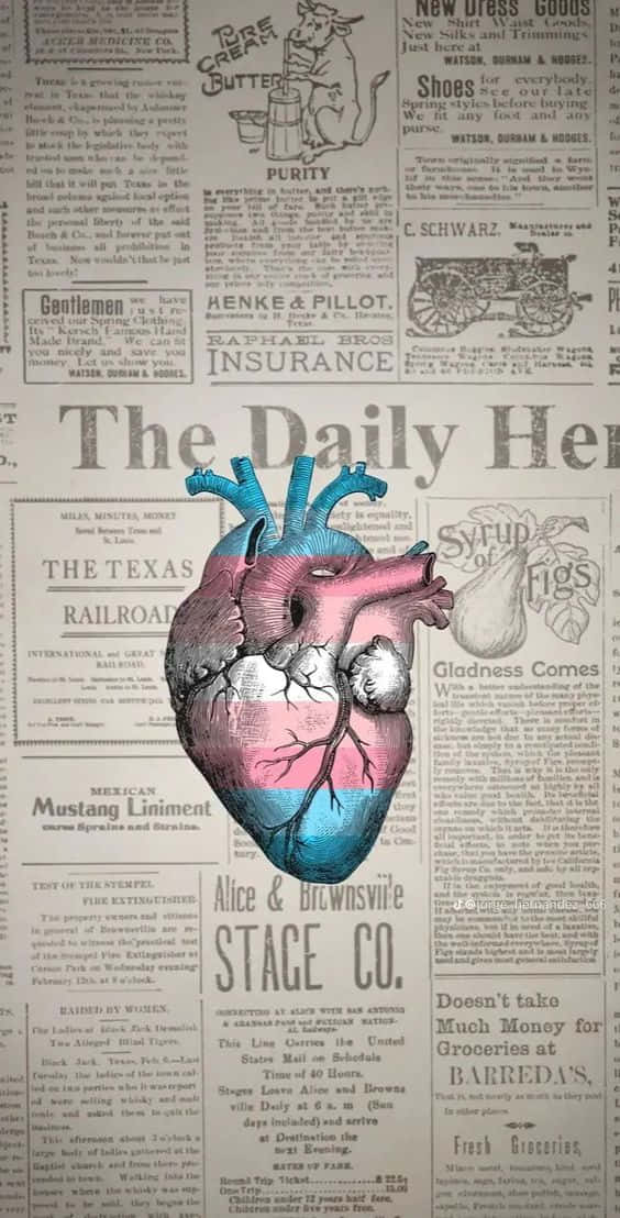 The Trans Phone Futuristic Way Of Communicating