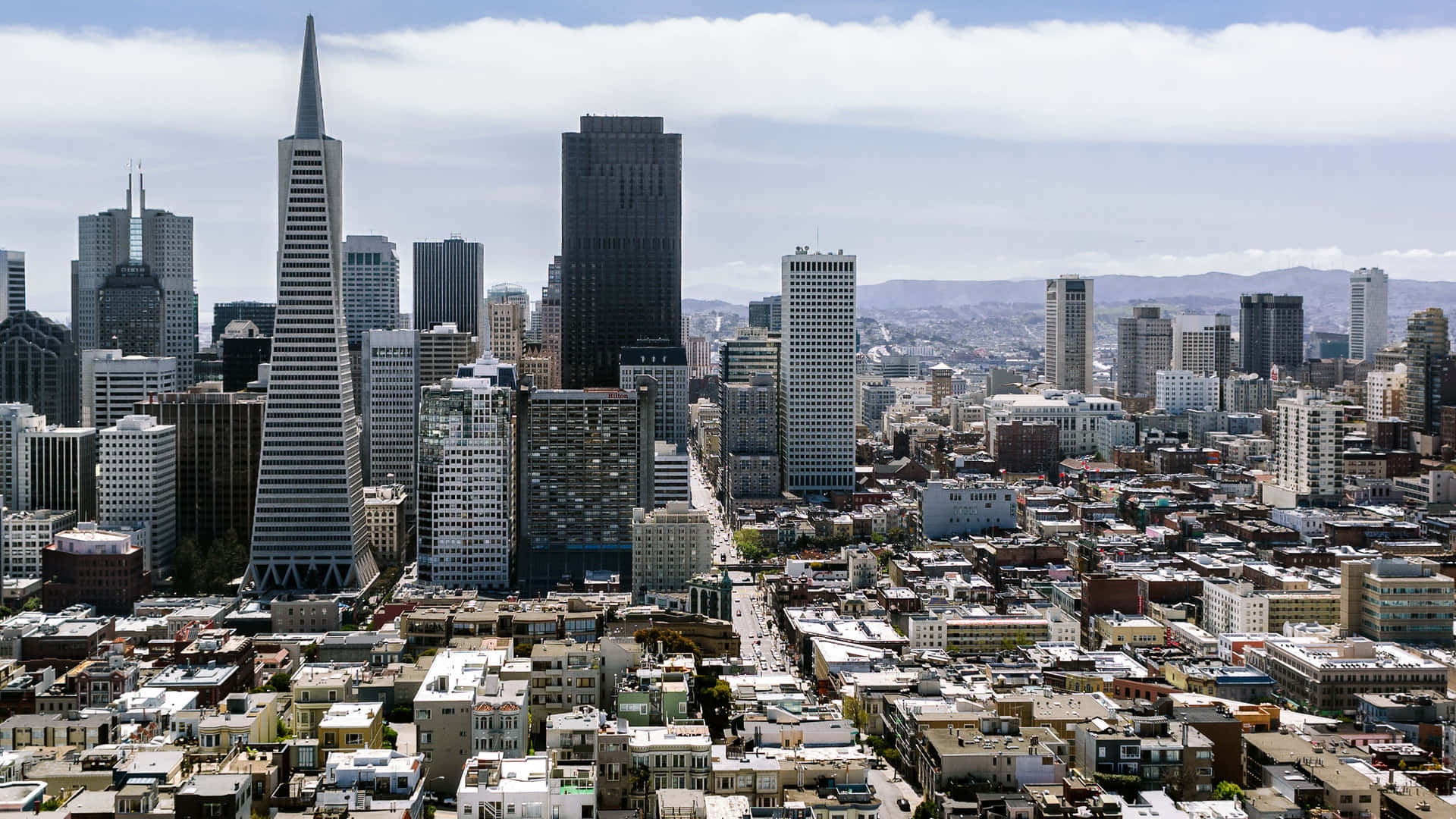The Transamerica Pyramid In San Francisco Background