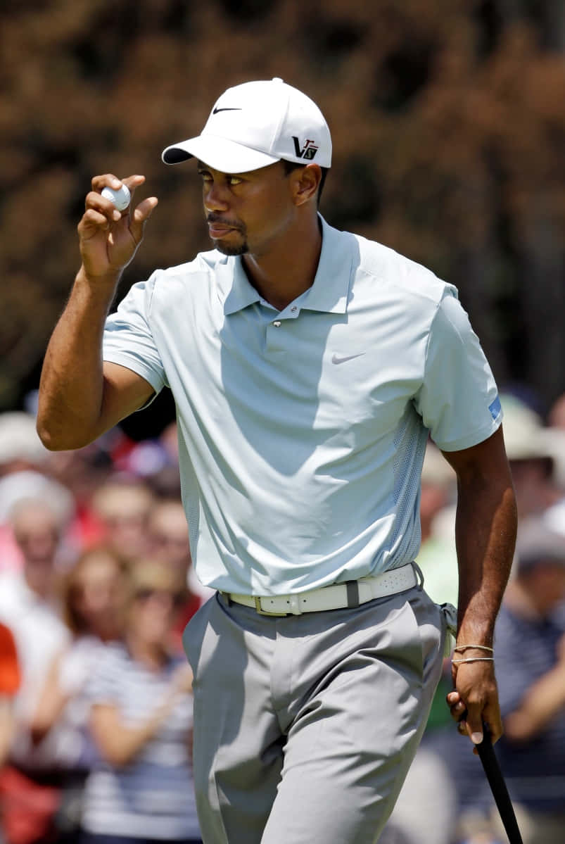 The Typical Tiger Woods Iphone Background