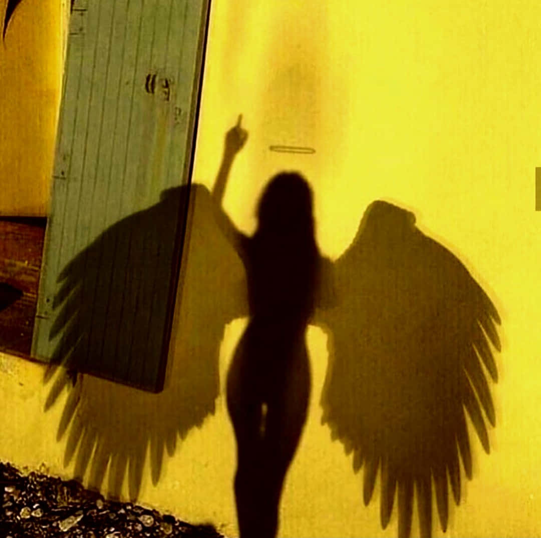 The Undefined Grace - Angel Shadow Pfp Background