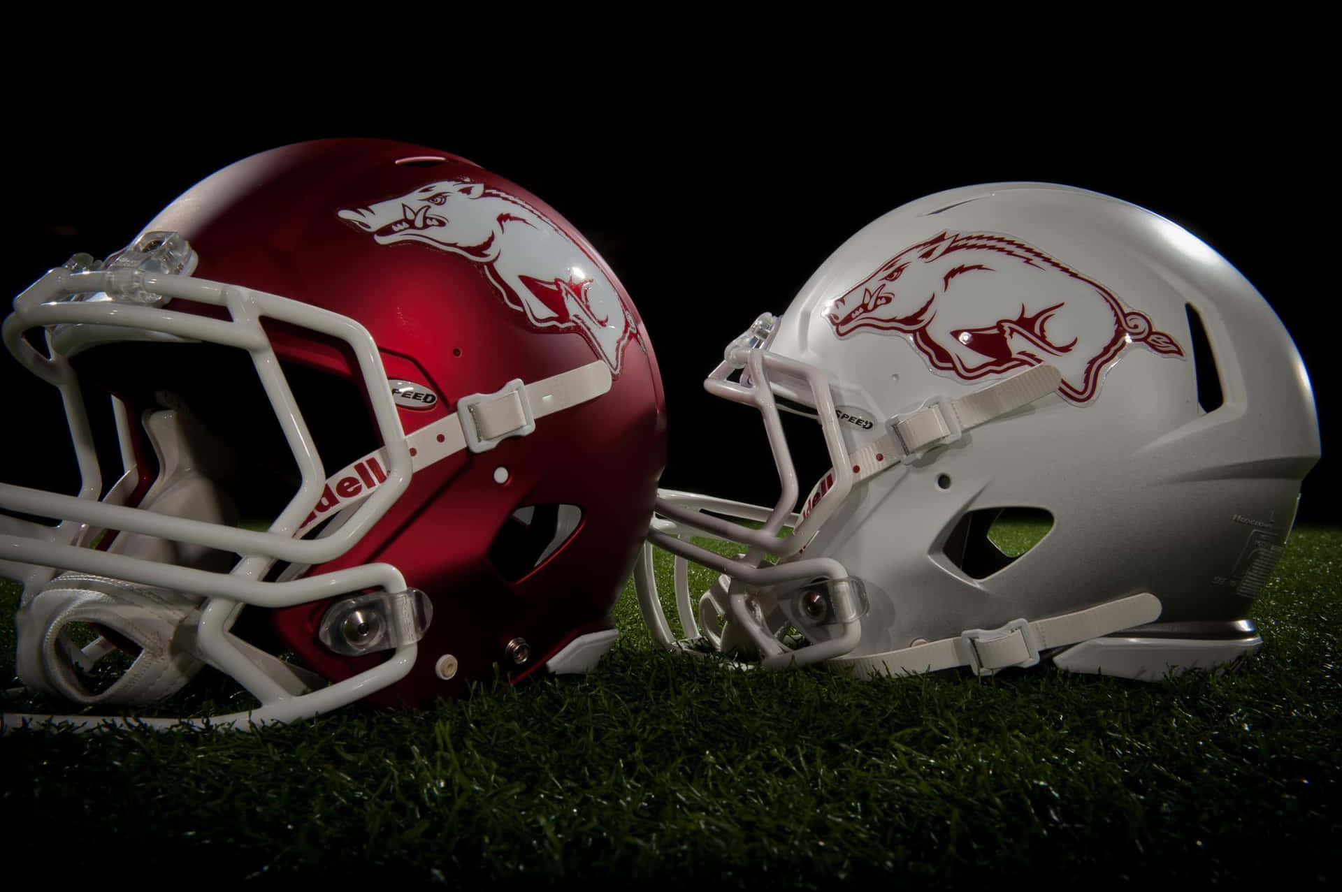 The Uni Of Arkansas Razorbacks Firing Up The Crowd Background