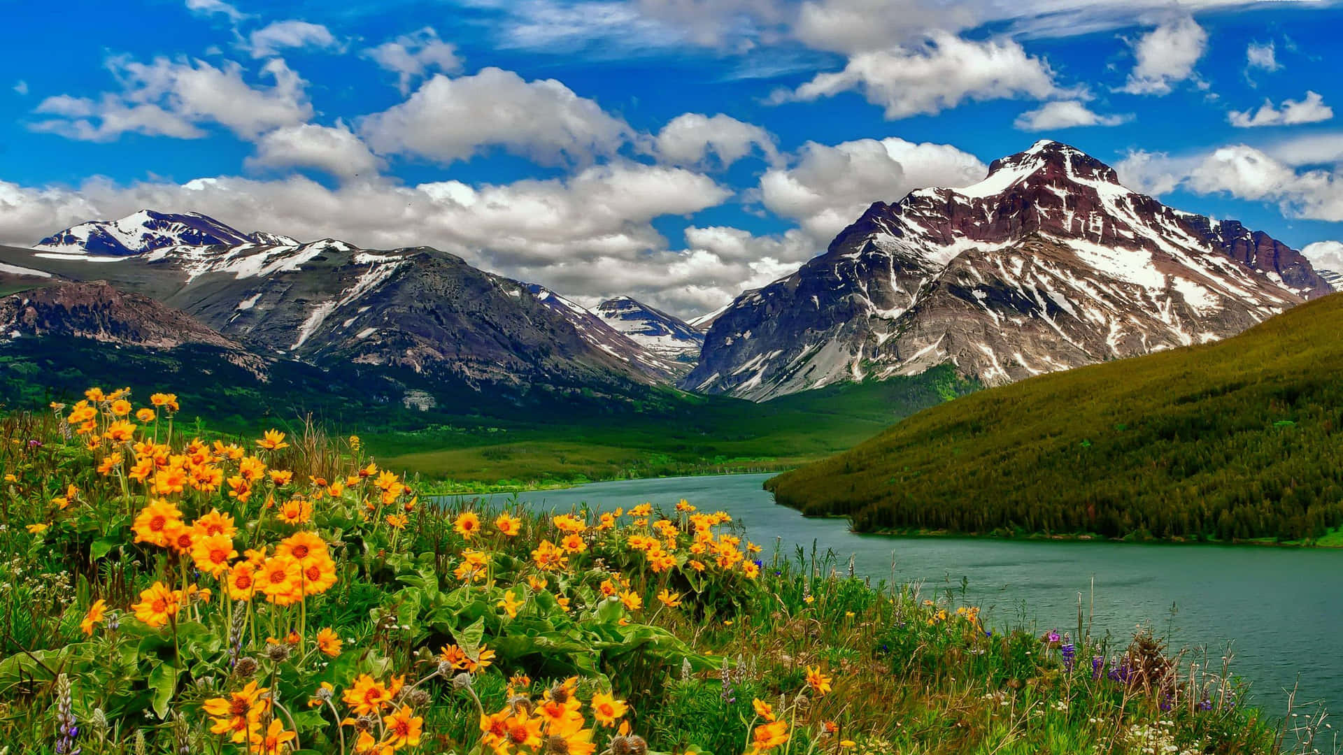 The Unspoiled Spring Scenery Background