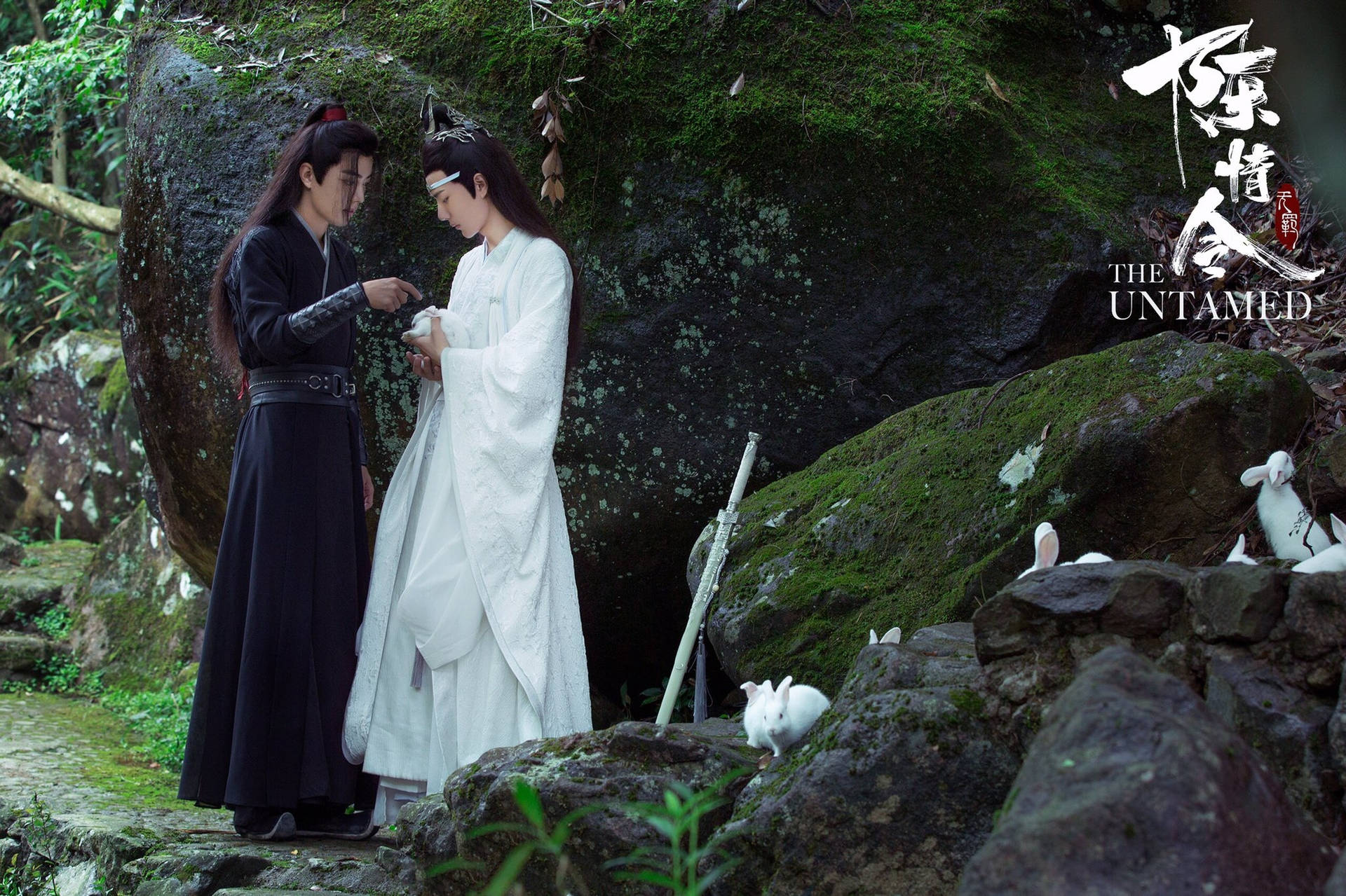 The Untamed Wangxian With Rabbits Background