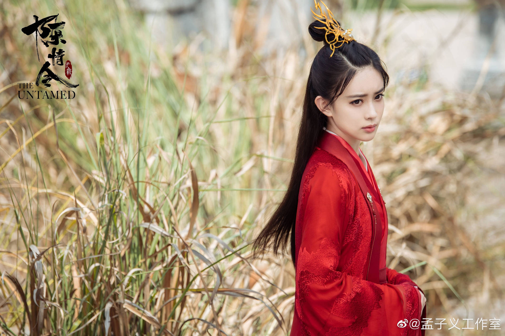 The Untamed Wen Qing Background