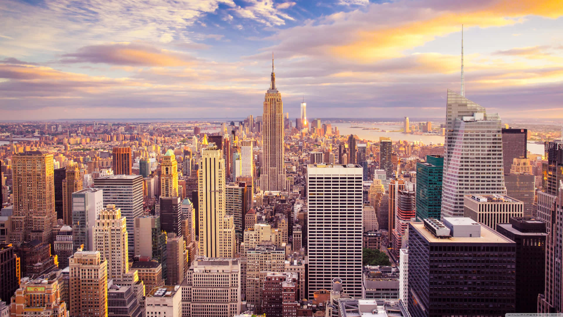 The Urban Jungle Of New York City Background