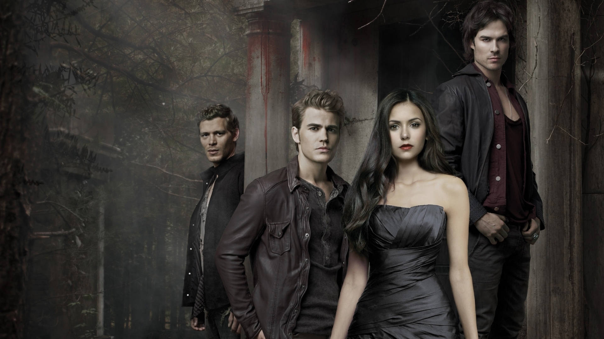 The Vampire Diaries Characters In A Forest Background