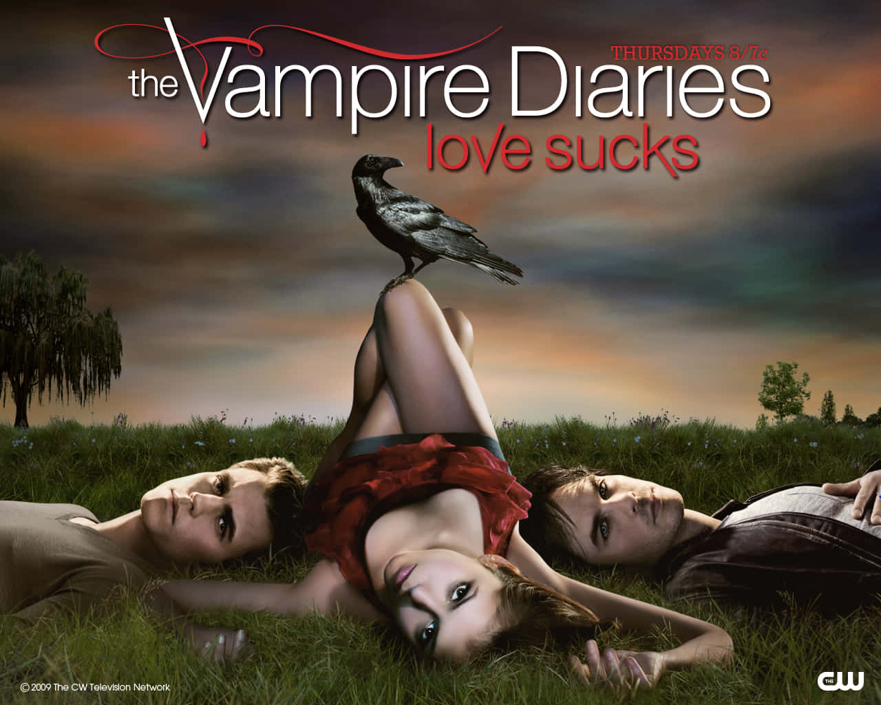 The Vampire Diaries Love Sucks Poster Background