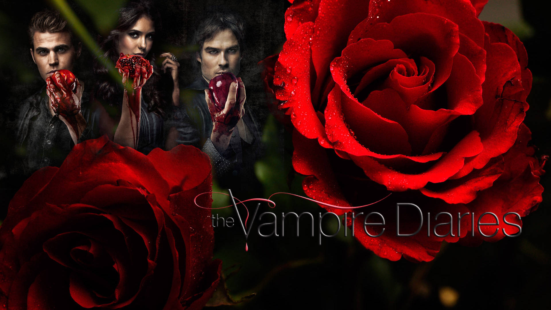 The Vampire Diaries Poster With Red Roses Background
