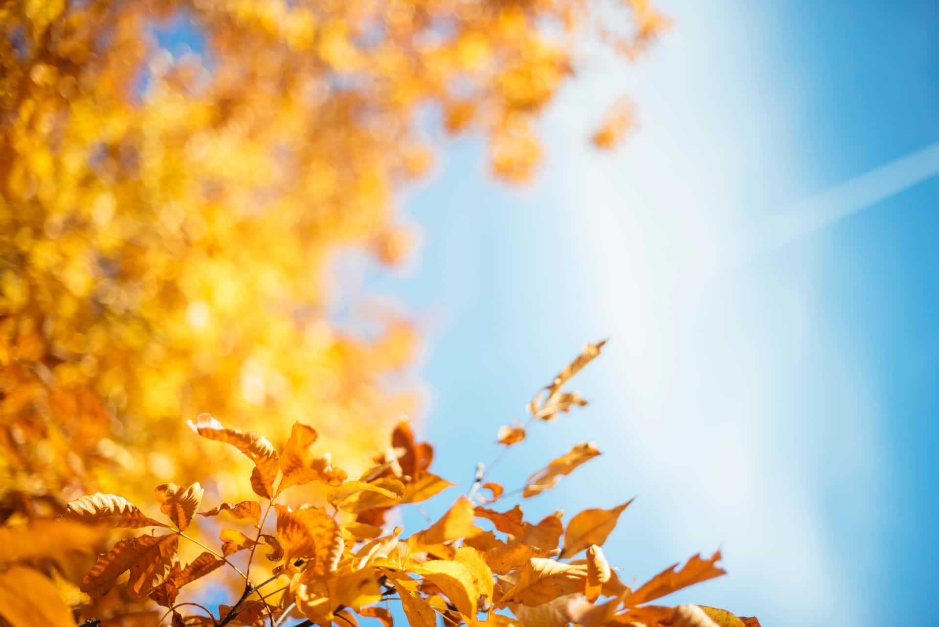 The Vibrant Colors Of New England In Autumn Background