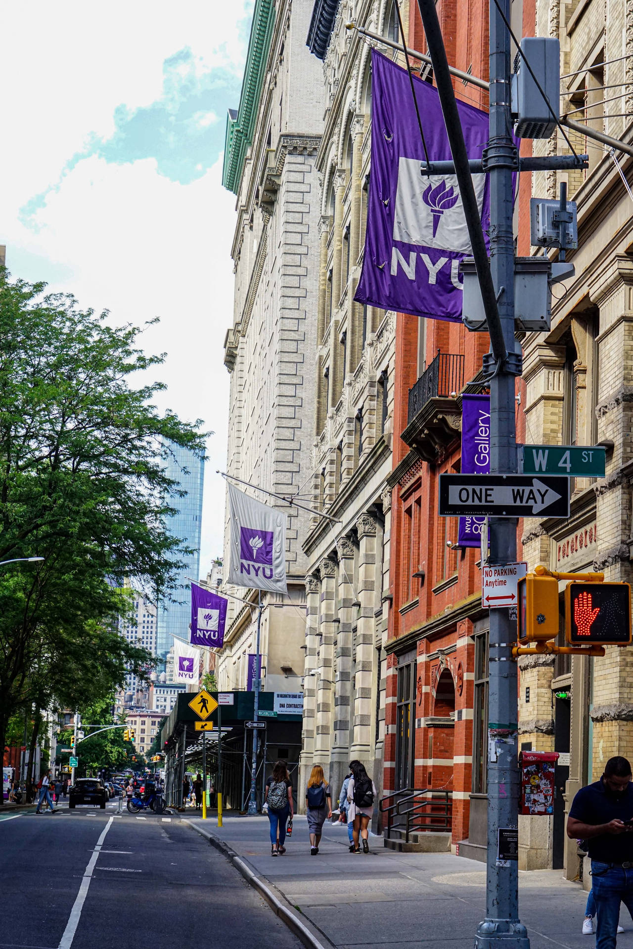 The Vibrant Path To Nyu. Background