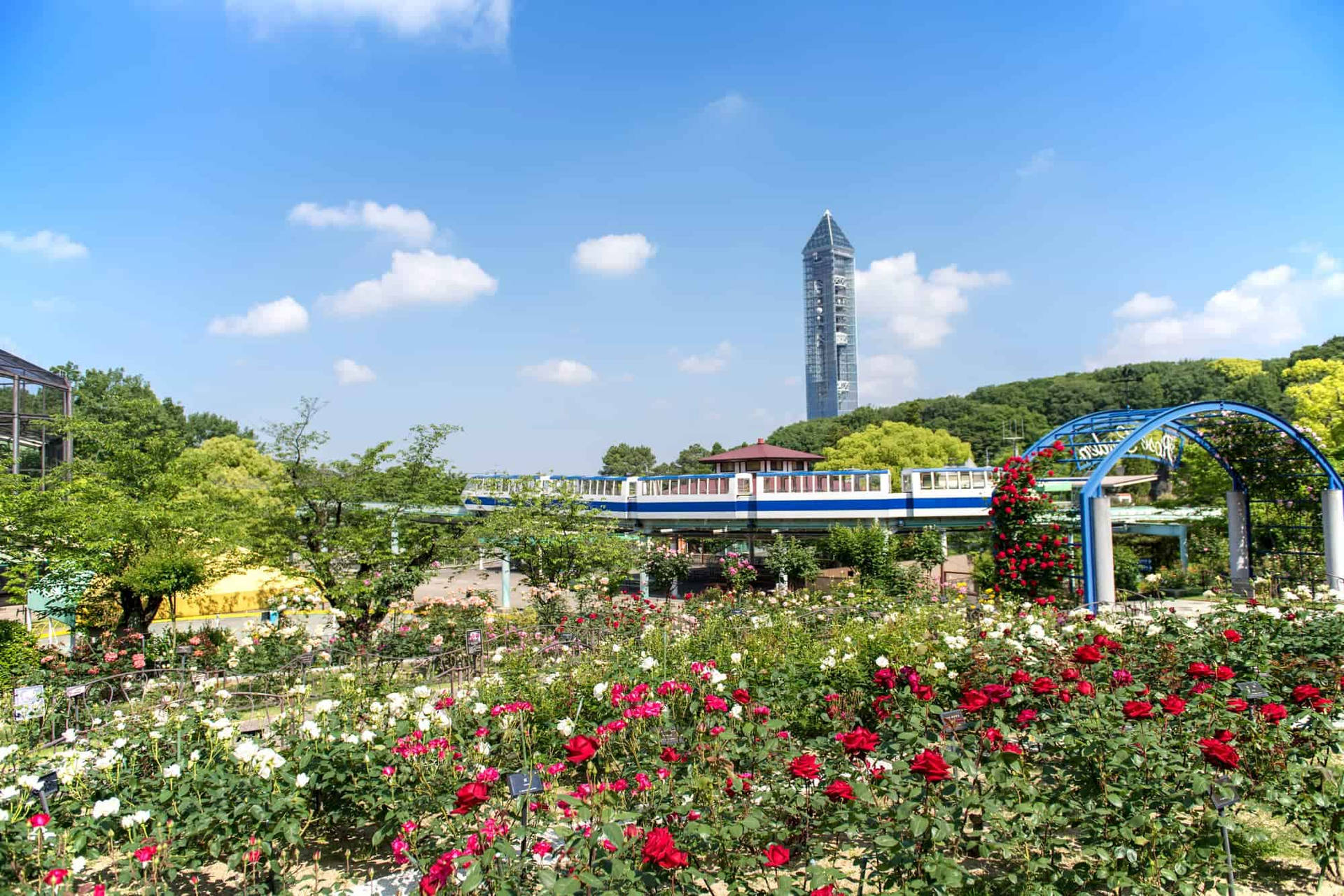 The Vibrant Tranquility Of Nagoya's Higashiyama Botanical Garden Background