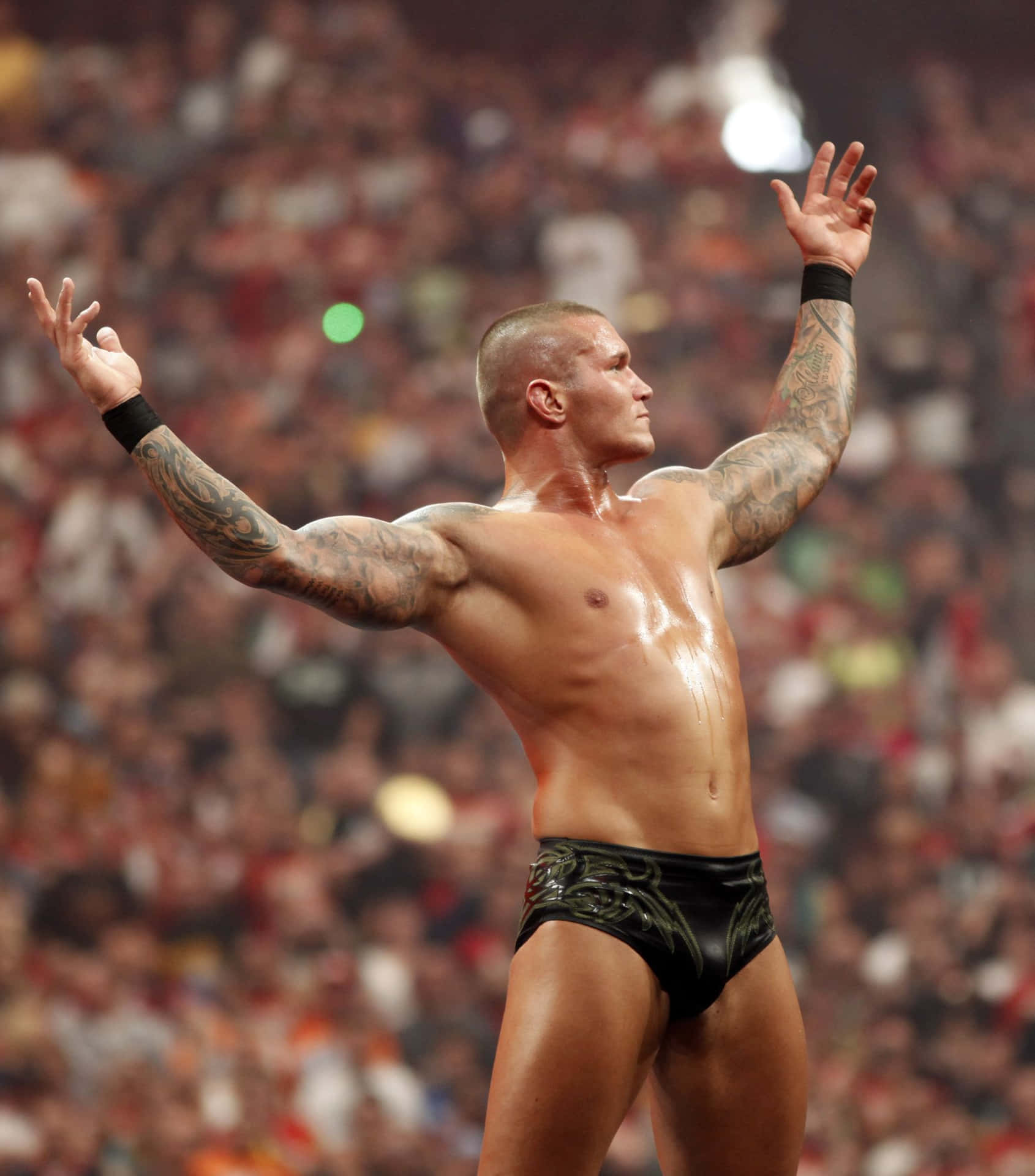 The Viper, Randy Orton, Stares Down His Adversary Background