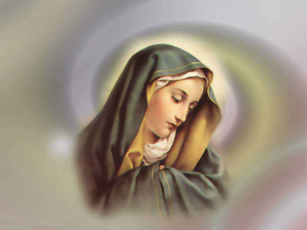 The Virgin Mary Soft Features Background