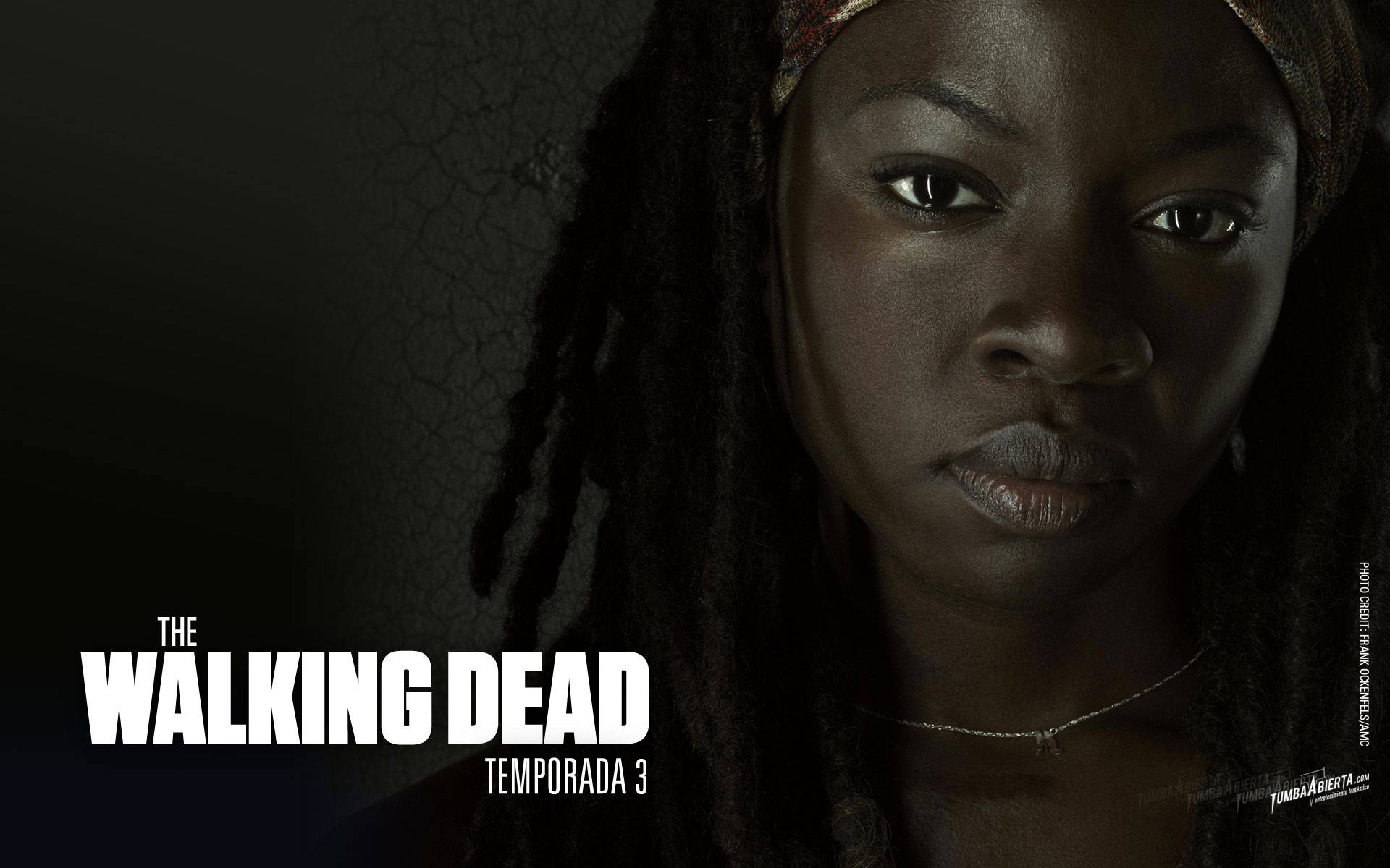 The Walking Dead Michonne Poster Background