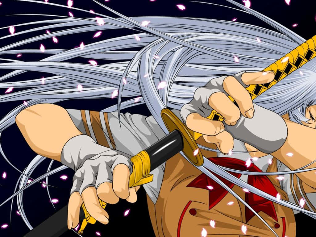 The Warrior-maiden Of Ikki Tousen