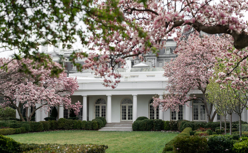 The White House With Colorful Trees Background