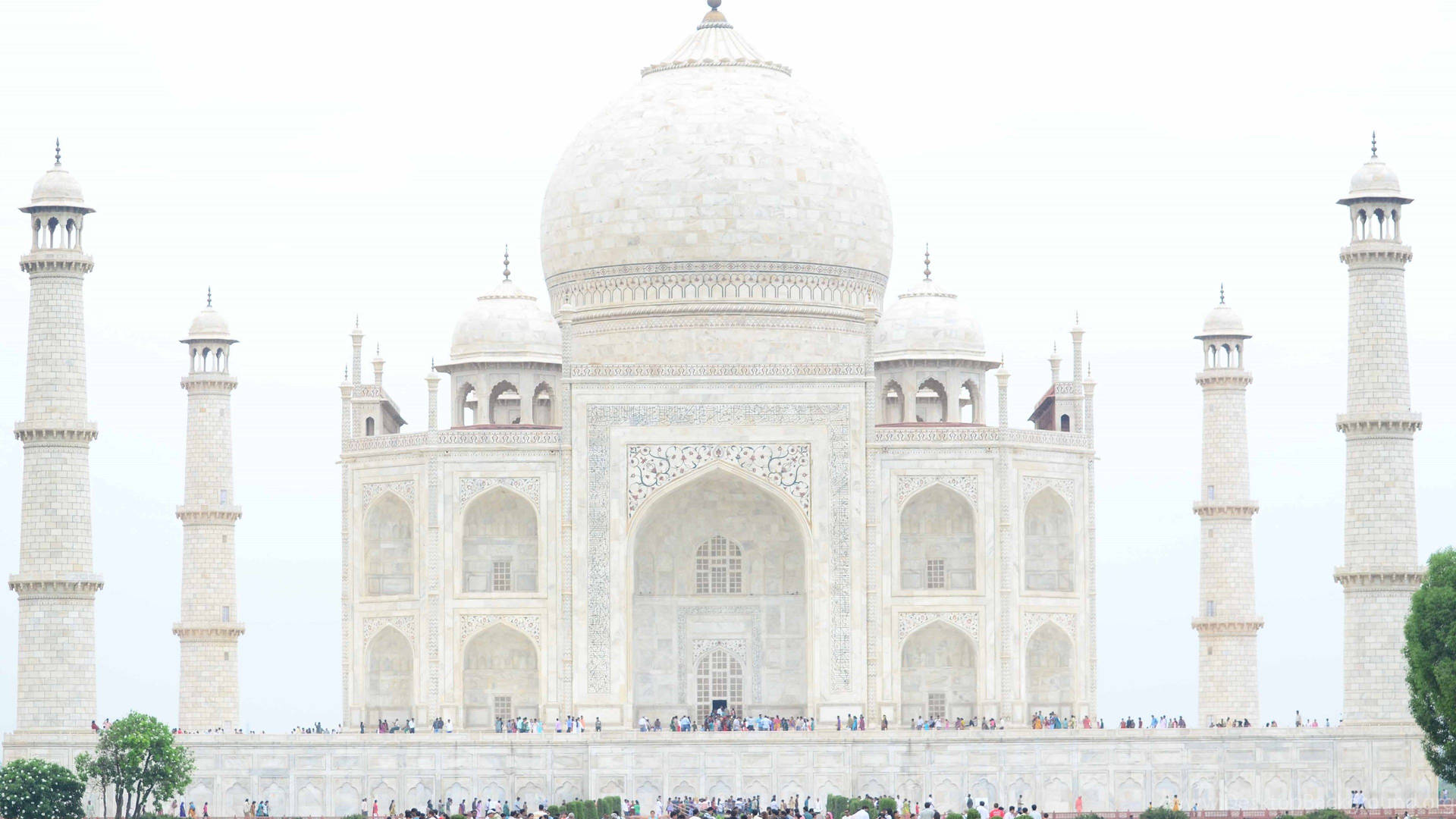 The White Taj Mahal Background