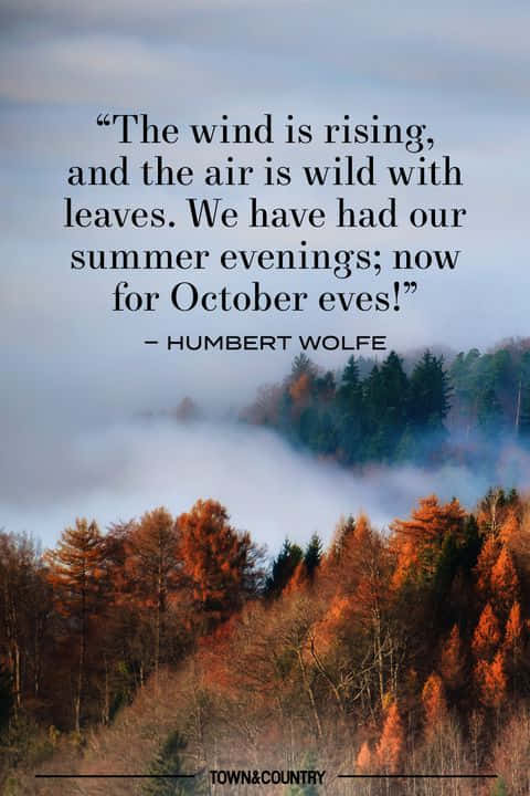 The Wind Is Rising And The Air Is Wild With Leaves We Have Summer Evenings Now October - Humbert Ross
