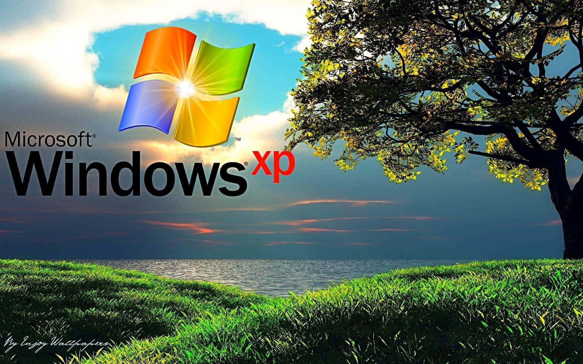 The Windows Xp Logo Background