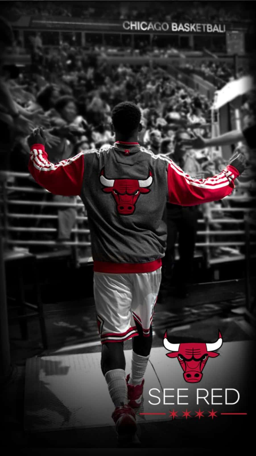 The Windy City, Home Of The Chicago Bulls