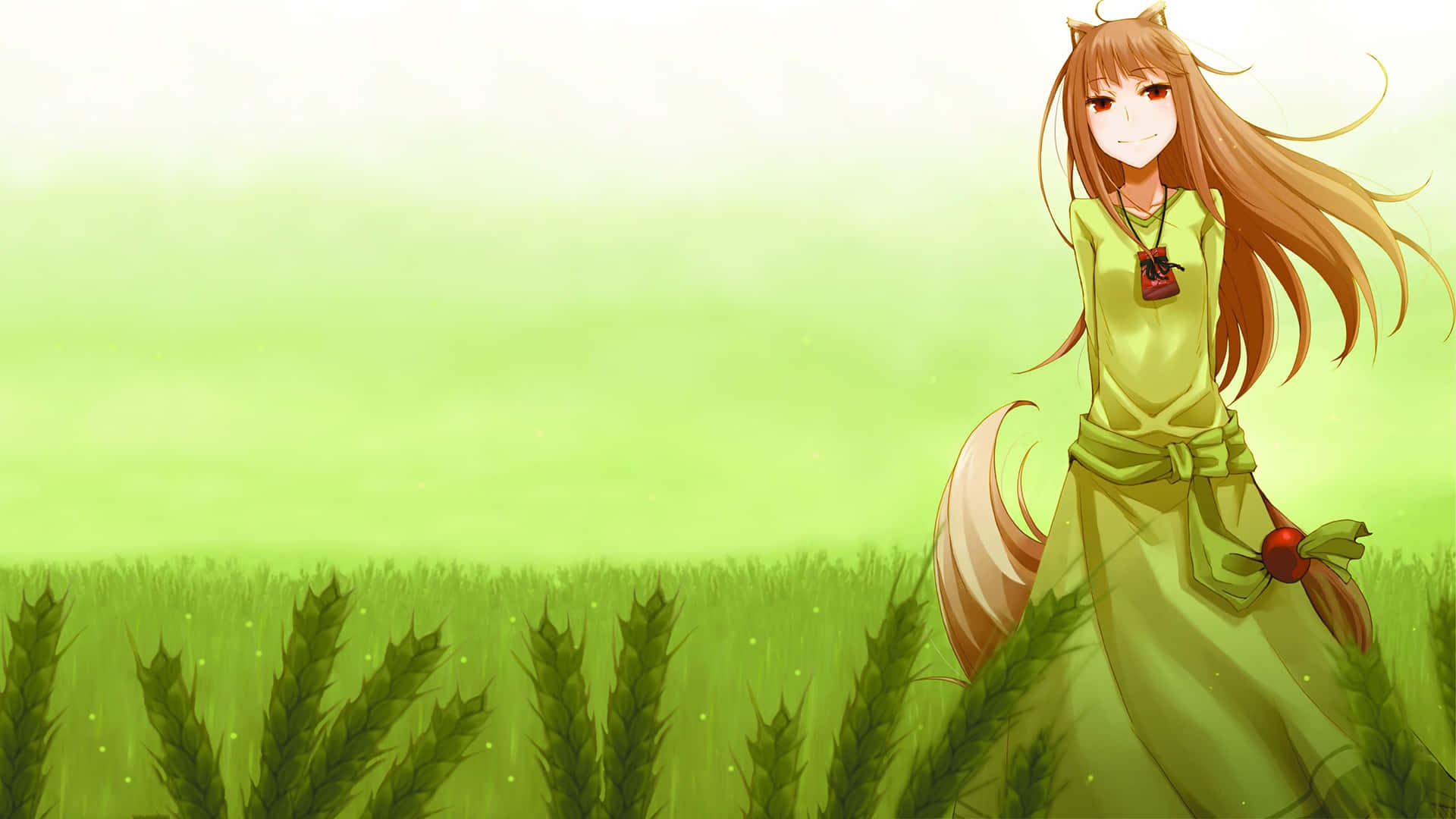 The Wise Wolf Holo Background