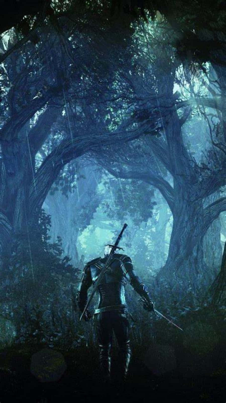 The Witcher 3 - The Witcher 3 Hd Wallpaper Background