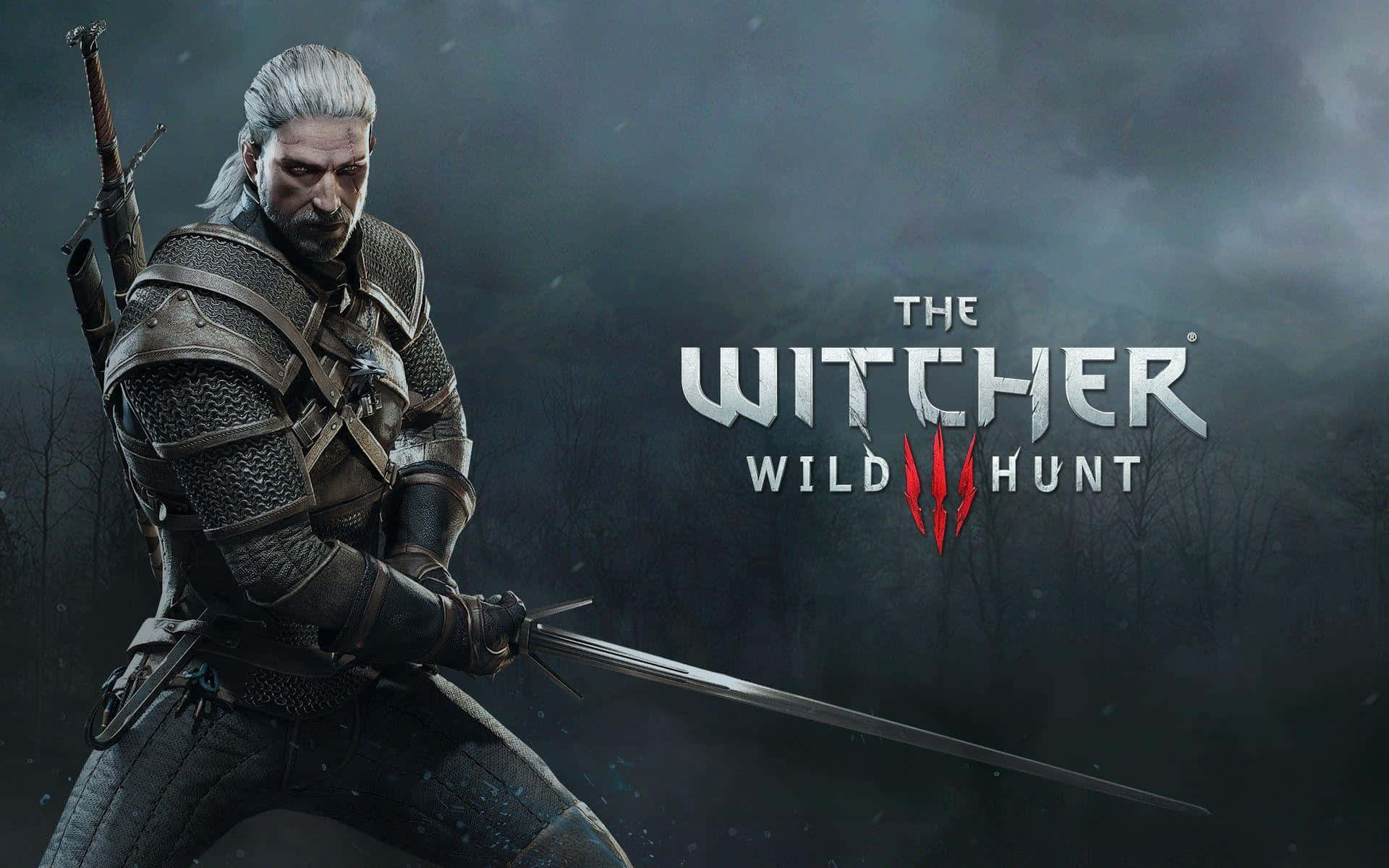 The Witcher 3 Wild Hunt Background