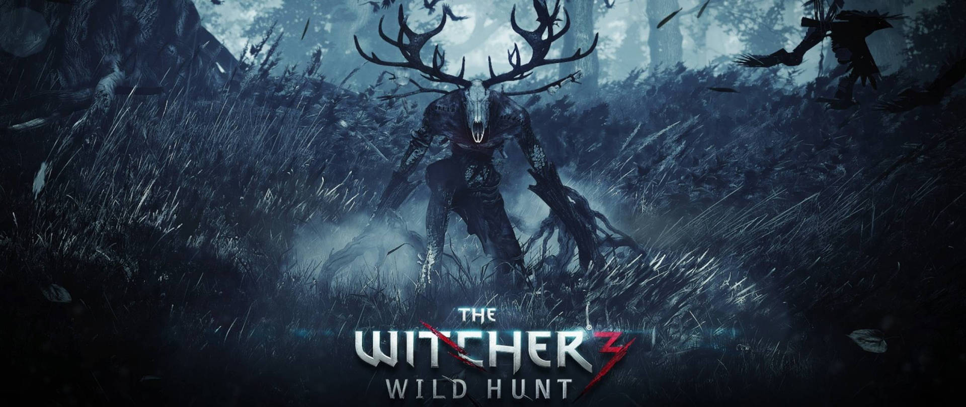 The Witcher 3 Wild Hunt - Pc Background