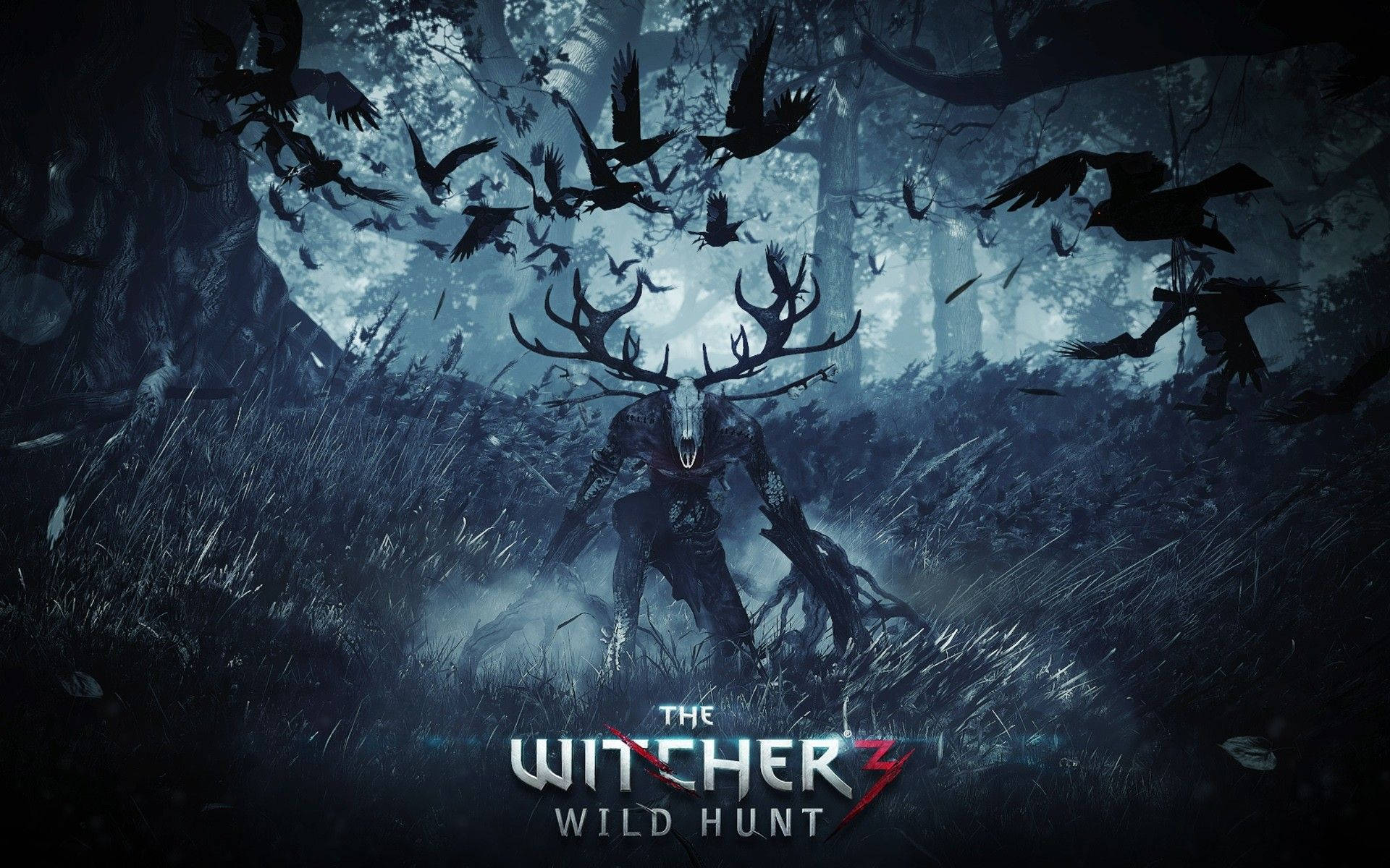 The Witcher 3 Wild Hunt - Wallpaper Background
