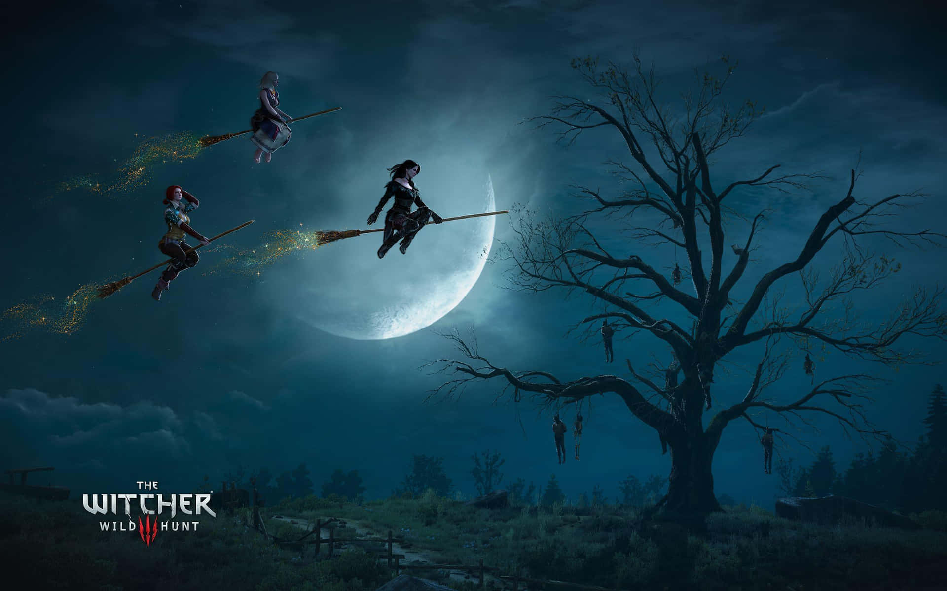 The Witcher 3 Wild Hunt Witch Silhouette Digital Art Background