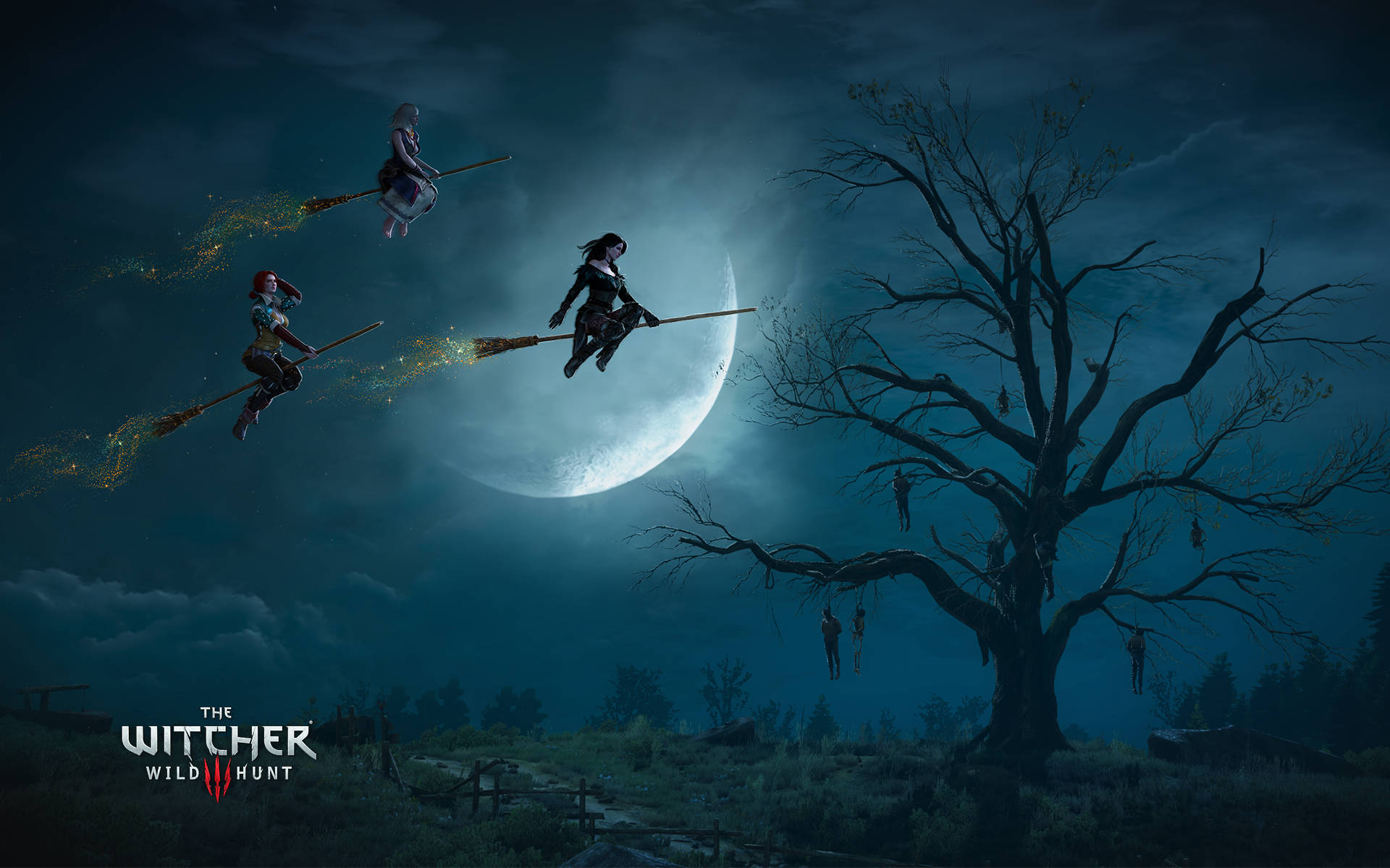 The Witches Of The Witcher 3