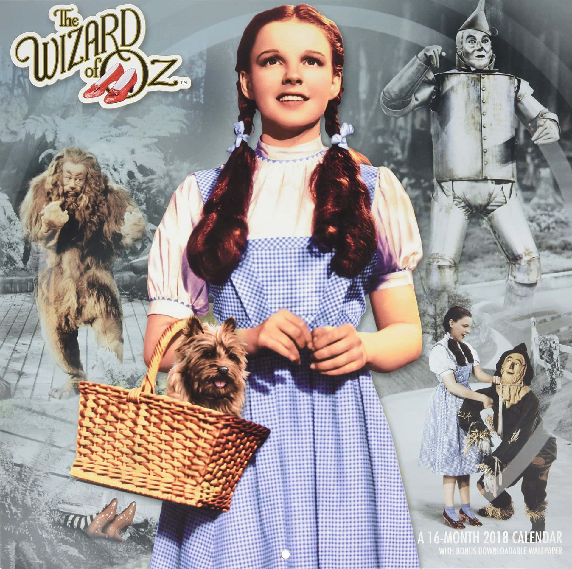 The Wizard Of Oz Poster Background