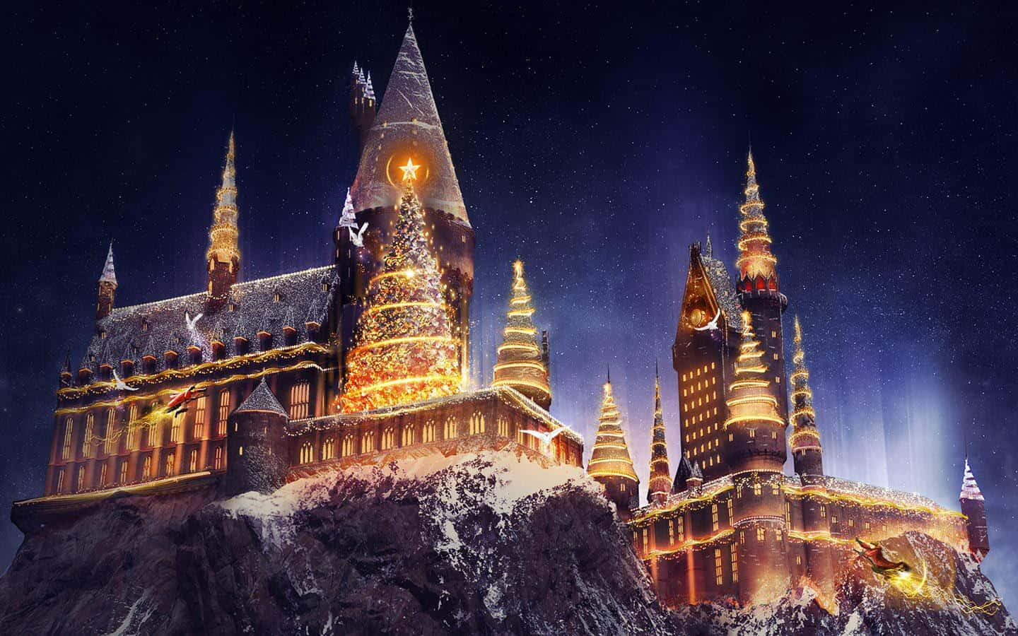 The Wizarding World Of Harry Potter Christmas Theme Park Background