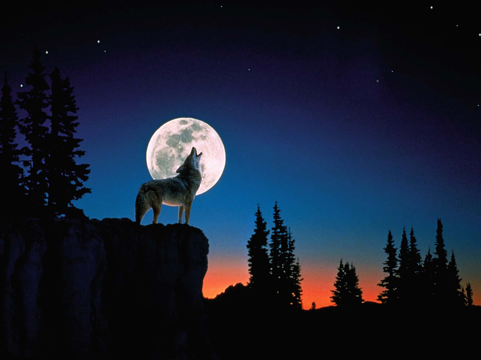 The Wolf Moon Rises, Illuminating The Night Sky Background