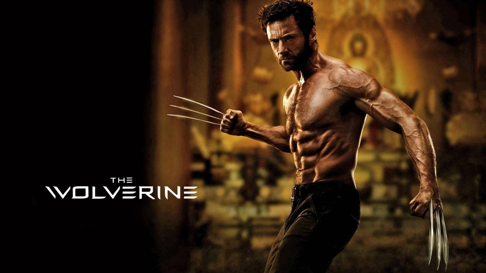 The Wolverine Film Background