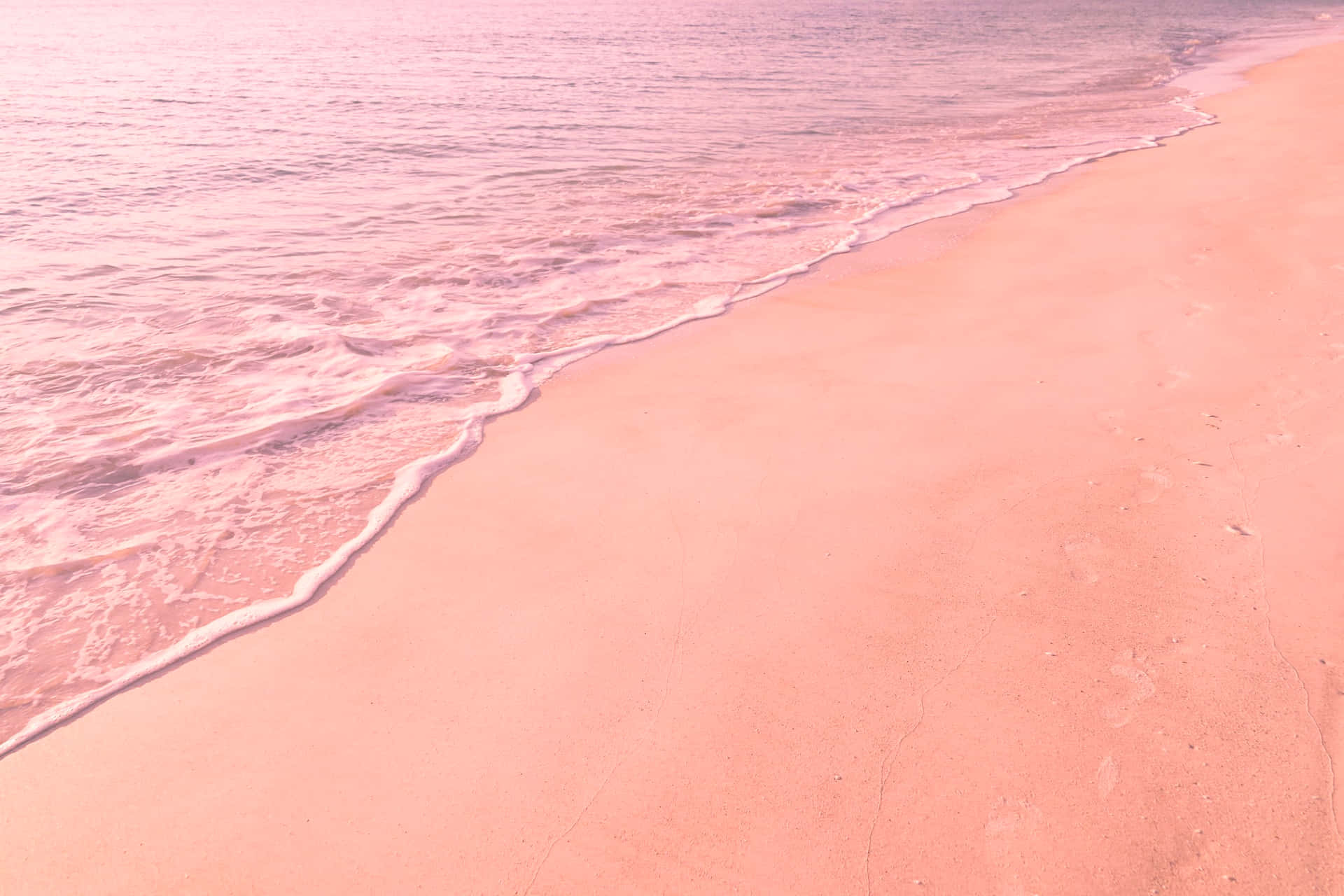 “the Wonders Of Nature: A Pink Beach Aesthetic”