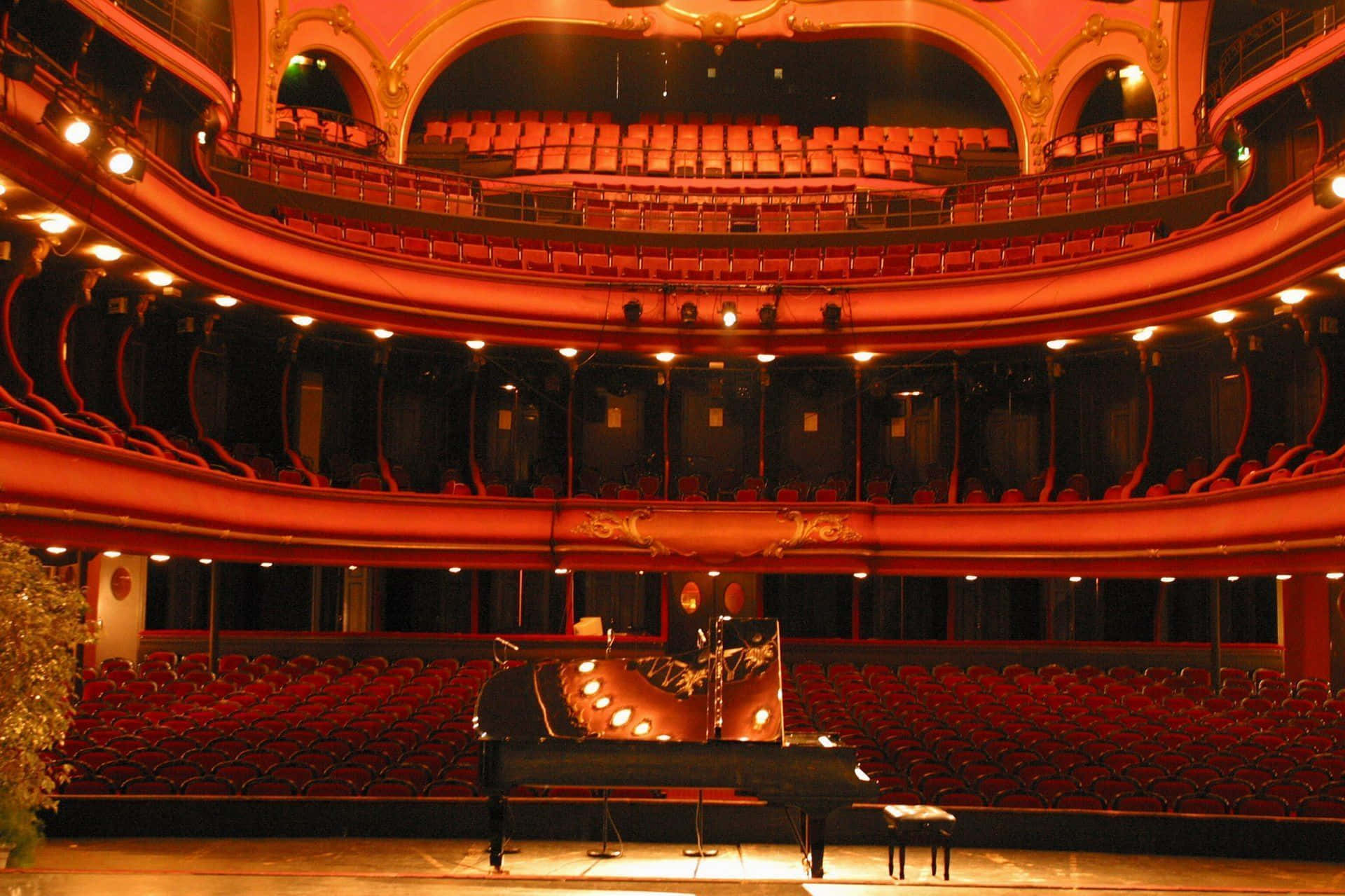 Theatre Du Casino Grand Cercle
