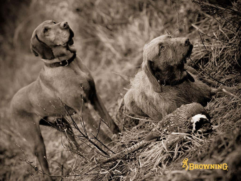 Thematic Browning Desktop Background Background