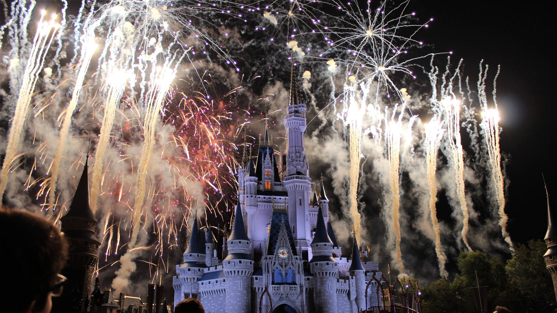 Theme Park Fireworks Display