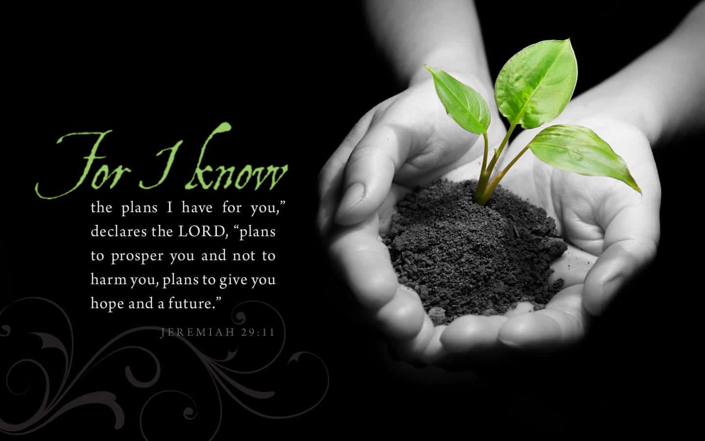 There Is Hope In God's Plans Background