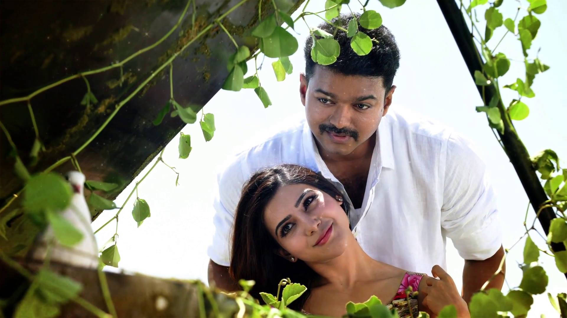 Theri Movie Green Vines Background