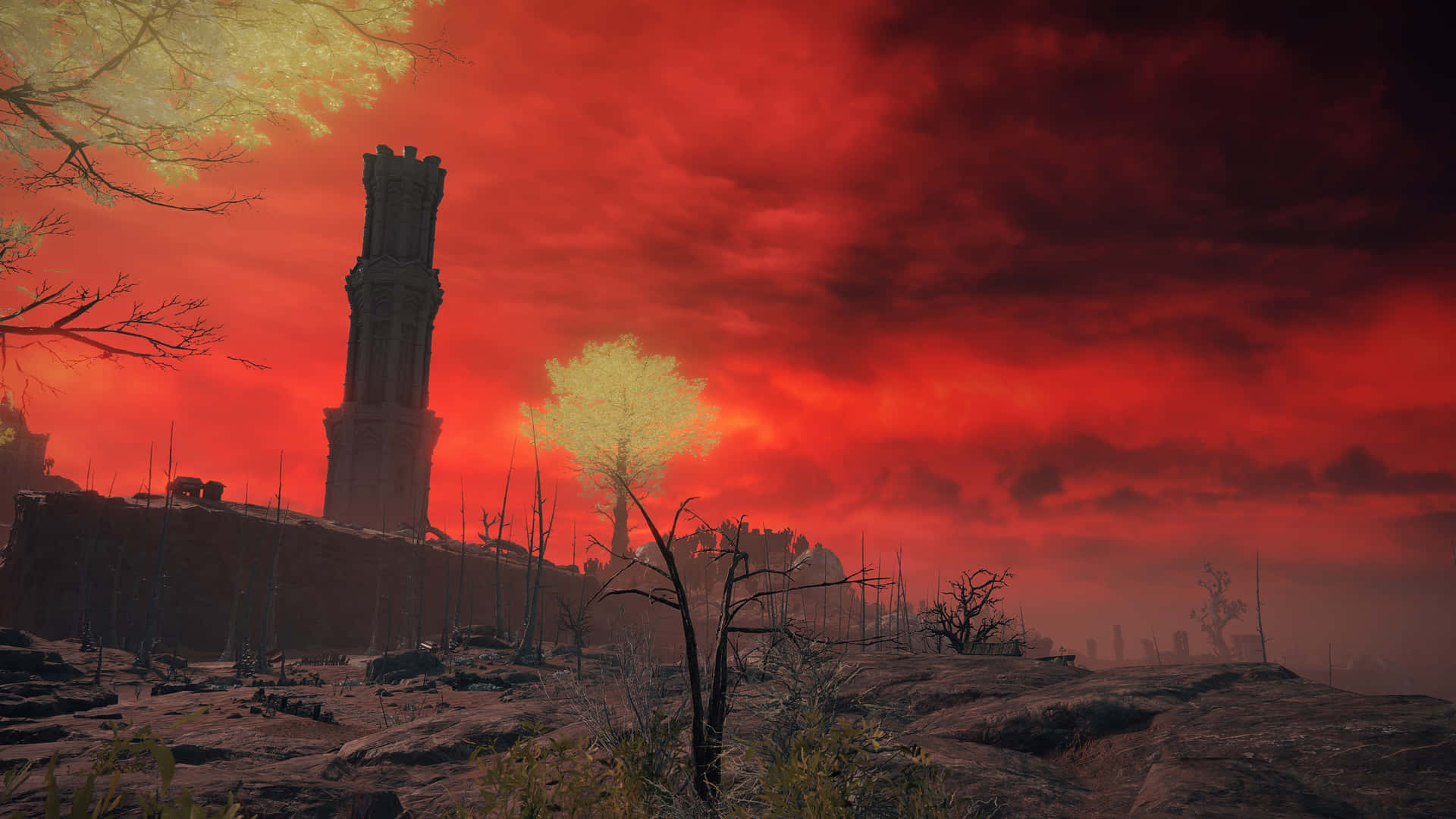 These Dry Branches Background